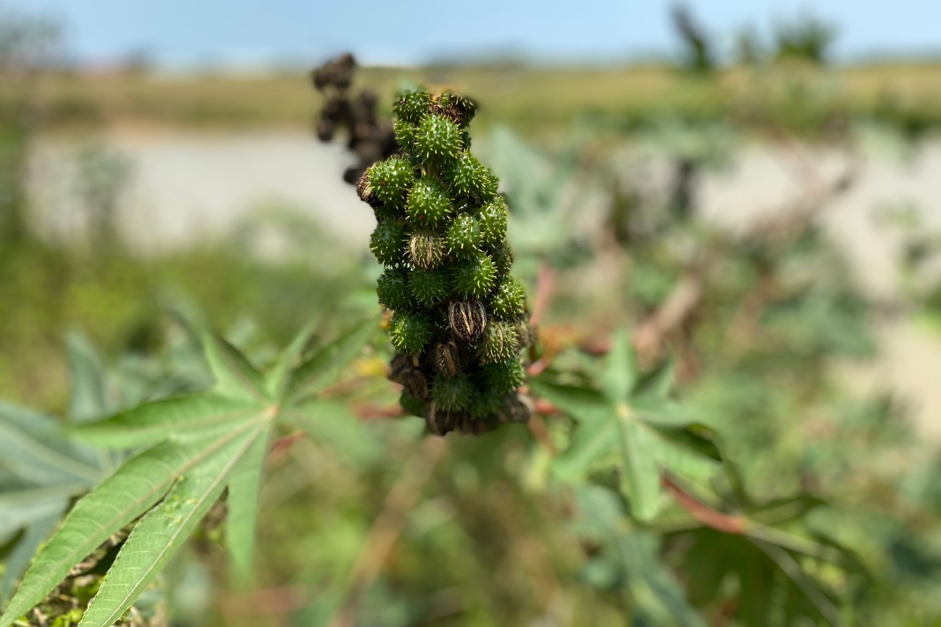 humanity-first-environment